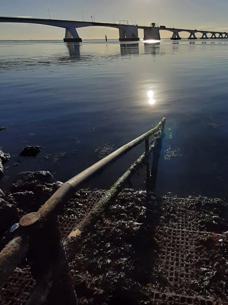 Snorkelen Zeelandbrug